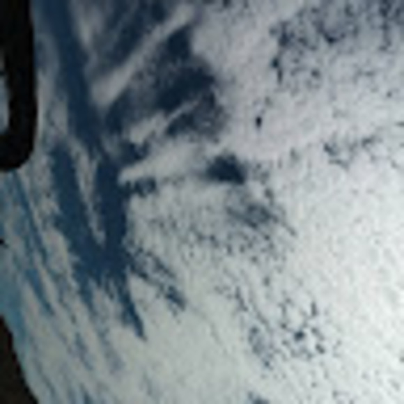 Meet your Posher, Grijalva - Picture 1 of 1